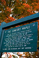 The Comfort Maple